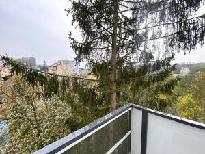 Prodej bytu 3+kk, Karlovy Vary, Mattoniho nábřeží, 81 m2