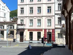 Prodej bytu 2+kk, Karlovy Vary, Zámecký vrch, 31 m2