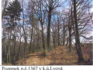 Prodej lesa, Jablonné v Podještědí, 20011 m2