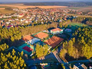 Pronájem bytu 1+kk, Zruč-Senec - Zruč, Sportovní, 44 m2