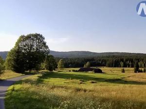 Prodej zemědělského objektu, Borová Lada, 120 m2