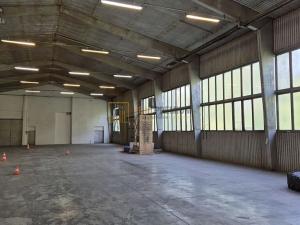 Pronájem skladu, Bojkovice, Pod Světlovem, 1000 m2