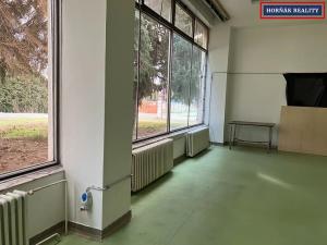 Pronájem výrobních prostor, Bučovice, Nová, 1 m2