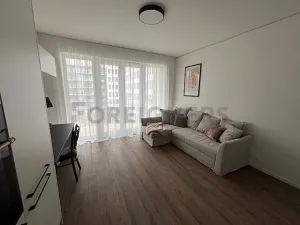 Pronájem bytu 1+kk, Brno, 35 m2