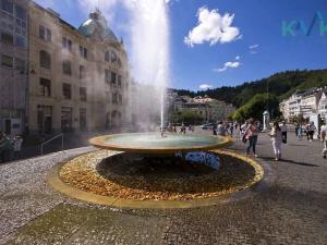 Prodej apartmánu, Karlovy Vary, K. Čapka, 593 m2