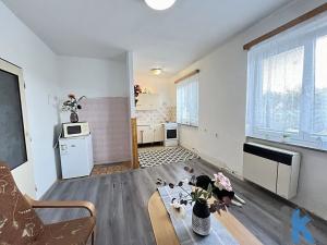 Prodej bytu 1+kk, Brodek u Konice, 27 m2