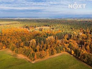 Prodej lesa, Ostřetín, 10398 m2