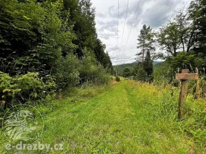 Prodej louky, Kořenov, 805 m2