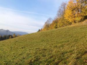 Dražba louky, Dolní Lomná, 9791 m2