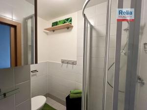 Pronájem bytu 2+kk, Liberec, Mlýnská, 34 m2