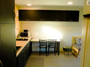 Prodej garáže, Pernštejnské Jestřabí - Maňová, 36 m2