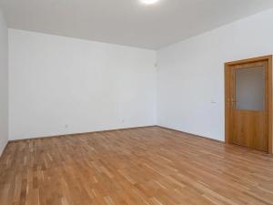 Pronájem bytu 5+kk, Praha - Smíchov, U Plátenice, 226 m2