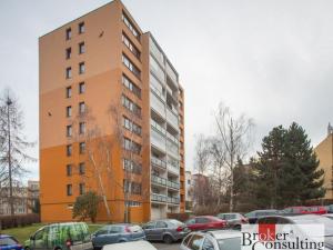 Pronájem bytu 2+kk, Praha - Žižkov, Křivá, 40 m2