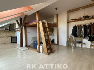 Pronájem bytu 1+kk, Brno, Hybešova, 52 m2