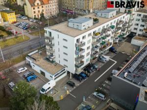 Pronájem obchodního prostoru, Brno - Královo Pole, Purkyňova, 78 m2