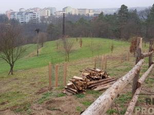 Prodej pozemku pro bydlení, Blansko - Klepačov, 14210 m2