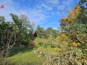 Prodej pozemku pro bydlení, Kožlí, 8259 m2