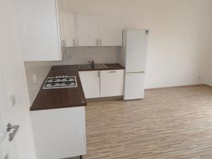 Pronájem bytu 2+kk, Praha - Žižkov, V domově, 55 m2