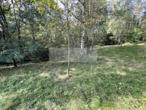 Prodej chalupy, Tanvald - Šumburk nad Desnou, 205 m2