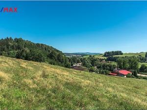 Prodej louky, Letohrad, 1658 m2