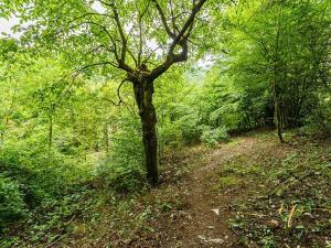 Prodej pozemku pro bydlení, Hlásná Třebaň, K Černé Skále, 1191 m2