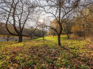 Prodej rodinného domu, Zborovy, 90 m2