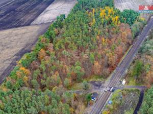Prodej lesa, Lysá nad Labem, 6436 m2