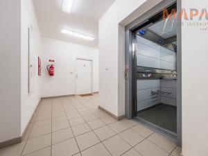 Pronájem bytu 3+kk, Praha - Dejvice, Lindleyova, 79 m2