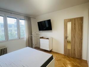 Pronájem bytu 2+kk, Plzeň - Jižní Předměstí, Skupova, 35 m2