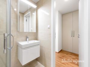 Pronájem bytu 2+kk, Praha - Žižkov, Malešická, 53 m2