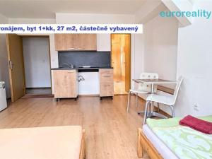 Pronájem bytu 1+kk, Plzeň, Lindauerova, 21 m2