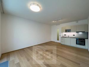 Pronájem bytu 1+kk, Praha - Michle, Hodonínská, 32 m2