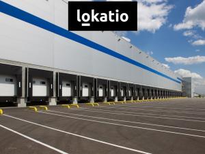 Pronájem skladu, Ostrov, 38800 m2