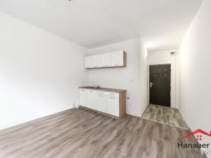 Prodej bytu 1+kk, Chlumec, Krušnohorská, 20 m2