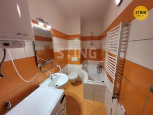 Pronájem bytu 1+1, Opava, Polanova, 32 m2