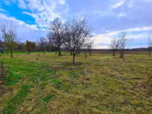 Prodej zahrady, Ivanovice na Hané, 2168 m2