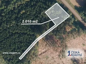 Prodej podílu lesa, Bezděkov pod Třemšínem, 5668 m2