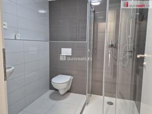 Pronájem bytu 1+kk, České Budějovice - České Budějovice 4, Vrbenská, 32 m2