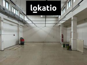 Pronájem skladu, Praha - Hostivař, V Chotejně, 250 m2