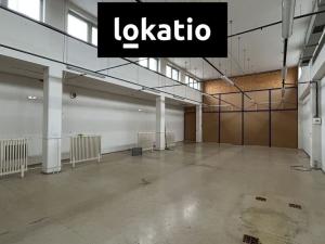 Pronájem skladu, Praha - Hostivař, V Chotejně, 250 m2