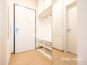 Pronájem bytu 1+kk, Praha - Žižkov, Olgy Havlové, 32 m2