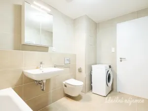 Pronájem bytu 1+kk, Praha - Žižkov, Olgy Havlové, 32 m2