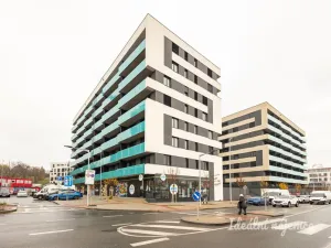 Pronájem bytu 1+kk, Praha - Žižkov, Olgy Havlové, 32 m2