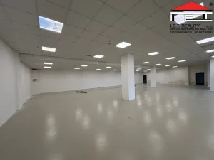 Pronájem skladu, Ostrava, Slovenská, 482 m2