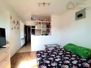 Pronájem bytu 1+kk, Mladá Boleslav, Pražská brána, 28 m2