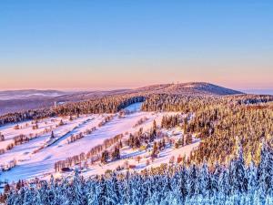 Prodej atypického bytu, Červená Voda, 312 m2