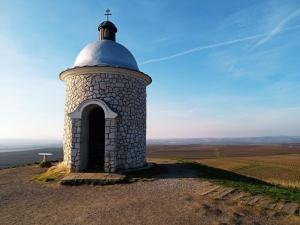 Prodej sadu/vinice, Velké Bílovice, 4077 m2