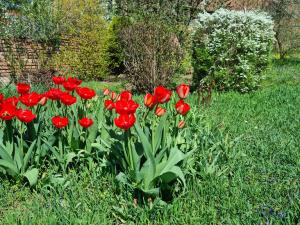 Prodej rodinného domu, Zlonice, Riegrova, 187 m2