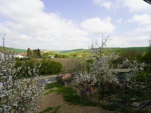 Prodej rodinného domu, Klobouky u Brna - Bohumilice, 70 m2