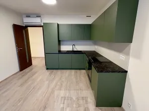 Pronájem bytu 2+kk, Praha - Žižkov, Malešická, 81 m2